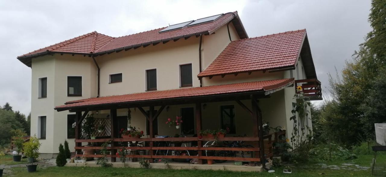Pensiunea Rozelor Statiunea Climaterica Sambata Sîmbăta de Sus Bagian luar foto