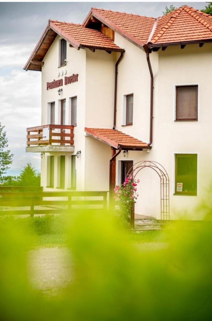 Pensiunea Rozelor Statiunea Climaterica Sambata Sîmbăta de Sus Bagian luar foto